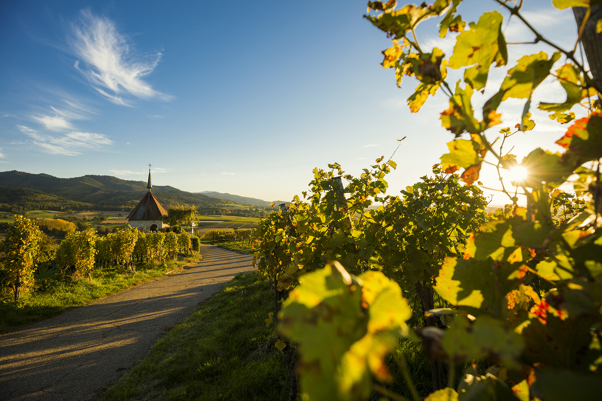 Eindrücke aus dem Buchprojekt Landkreis Breisgau-Hochschwarzwald – VerBINDUNGEN