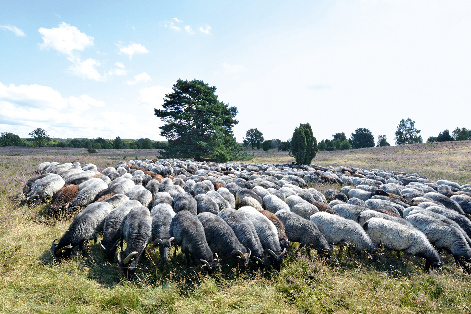 Eindrücke aus dem Buchprojekt Landkreis Harburg –
ganz persönlich